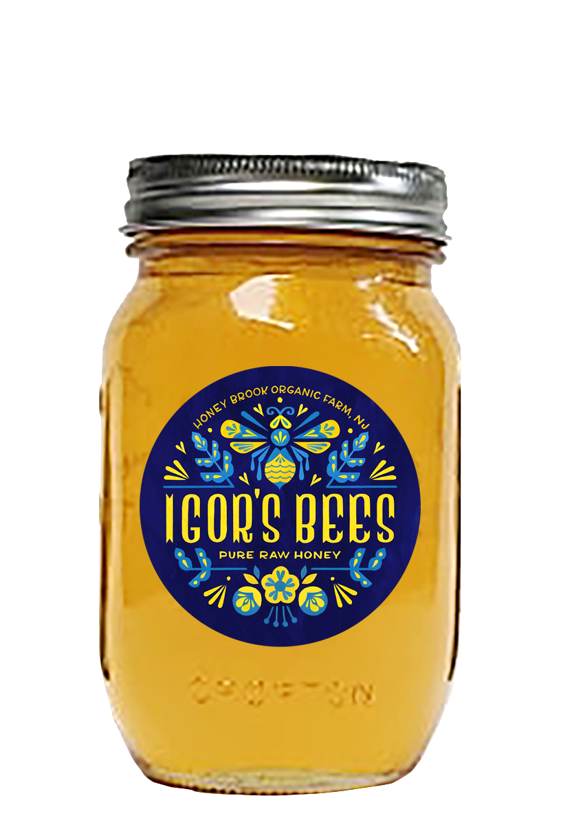 Black Locust (Acacia) Honey in Mason Jar 3 Lb